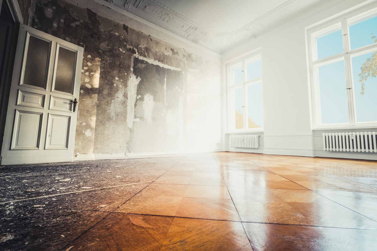 mold remediation services